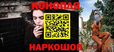 стаф Краснодар