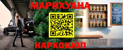 сатива Краснознаменск