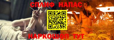 стаф Краснодар