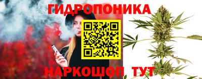 сатива Краснознаменск