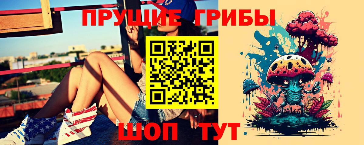 Галлюциногенные грибы Psilocybe Железногорск